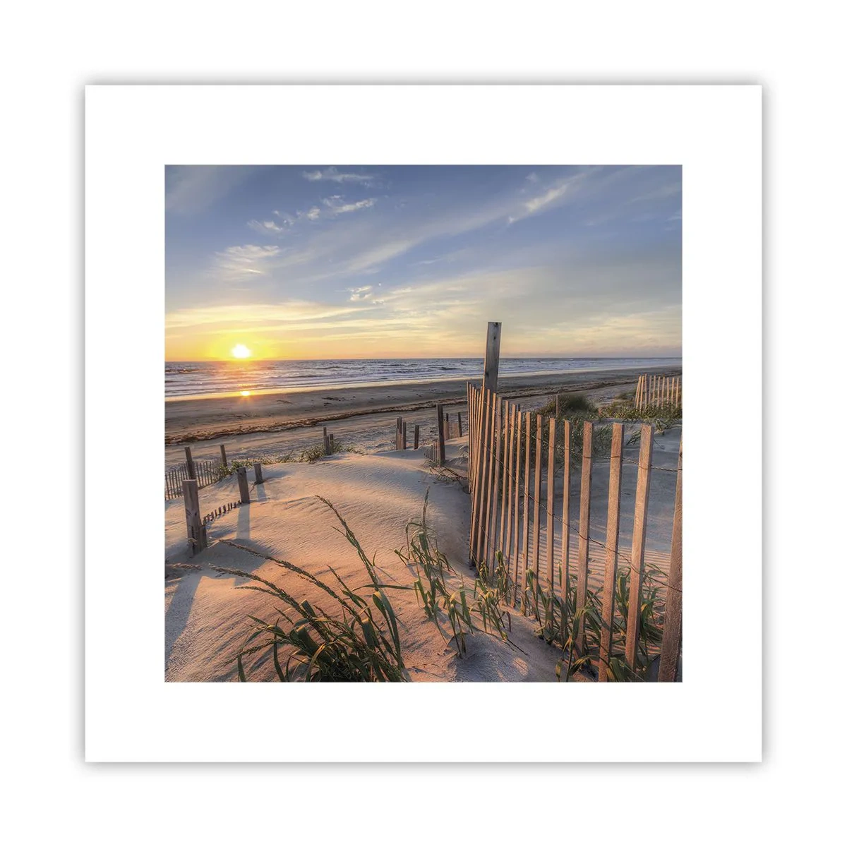 Plakát - Odlesk a stín větru - 30x30 cm