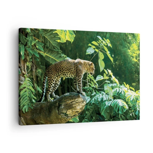 Obraz na plátně - Leopard stojící na skále obklopený tropickou vegetací - 70x50cm - Na lov? - Moderní nástěnná dekorace do obývacího pokoje a ložnice ARTTOR