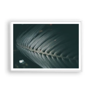 Plakát v bílém rámu - Přesnost přírody - 100x70 cm