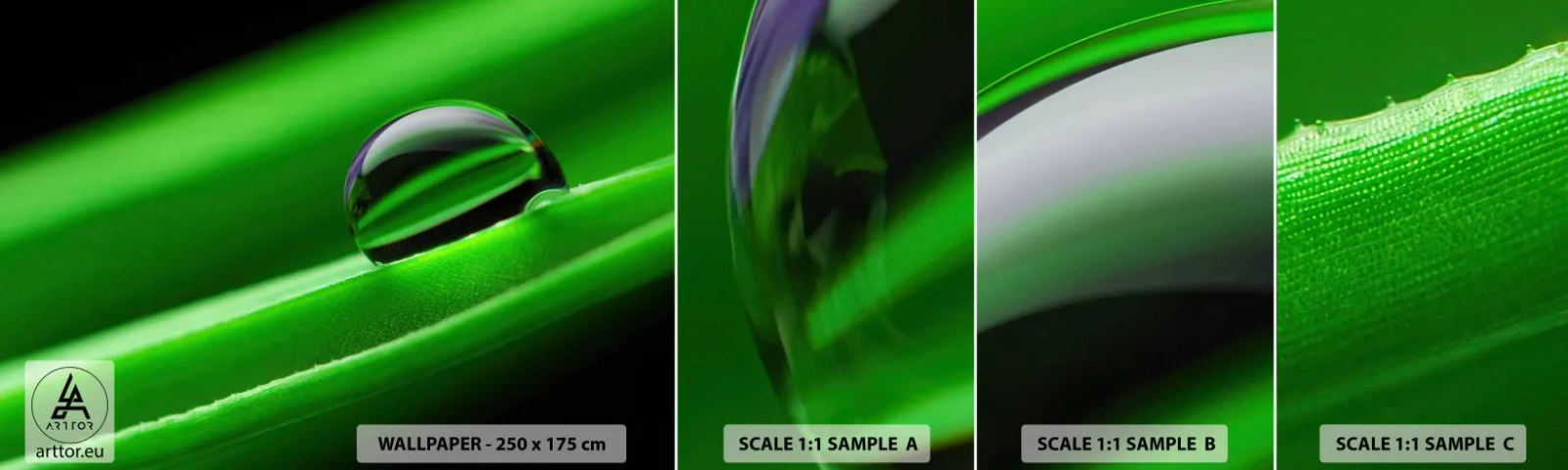 Fototapeta Vzorek Standard Eco - Život z blízka - Abstrakce, Grafika, Kapka vody - 100x30 cm