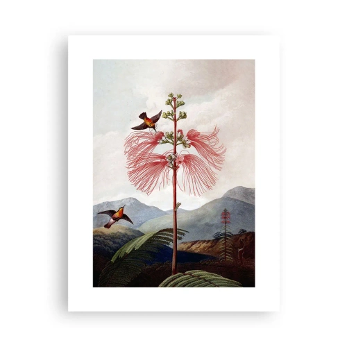 Plakát - V tropickém ráji - 30x40 cm