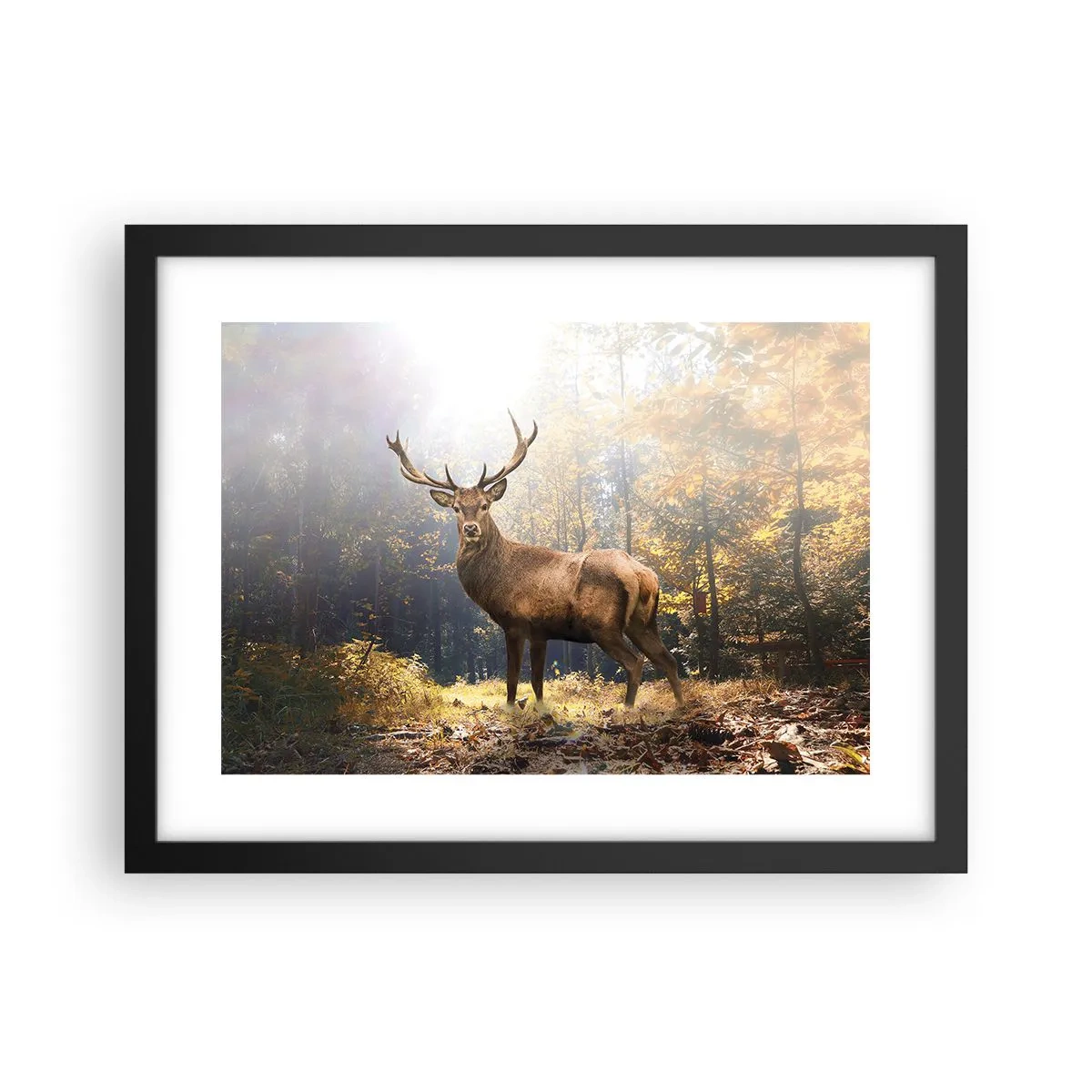 Plakát v černém rámu - Plné důstojnosti - 40x30 cm