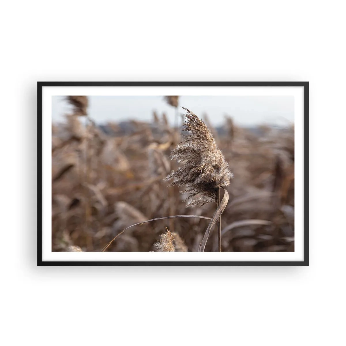 Plakát v černém rámu - Čas odletět s větrem - 91x61 cm