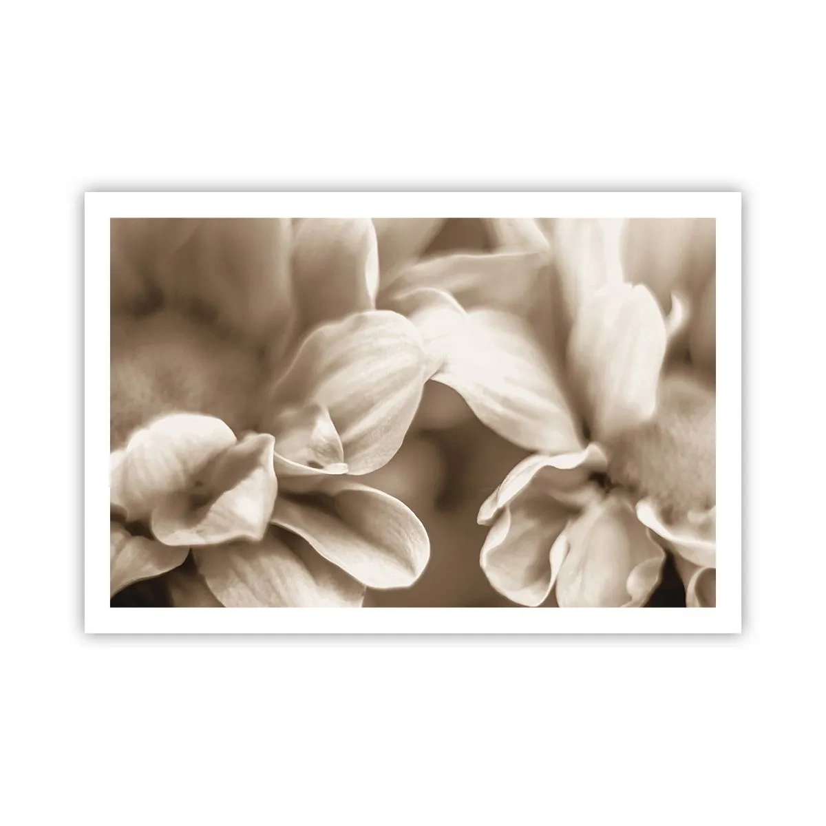 Plakát - Něžné jako úsměv - 91x61 cm