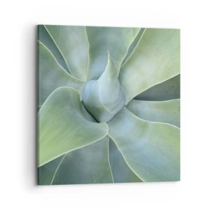 Obraz na plátně - Zrození zeleně - 70x70 cm