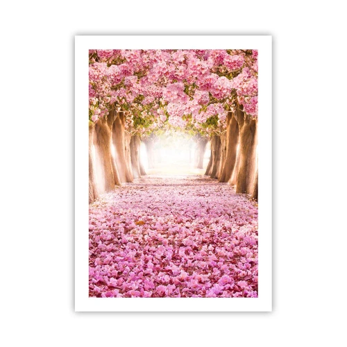 Plakát - Cesta do ráje - 50x70 cm