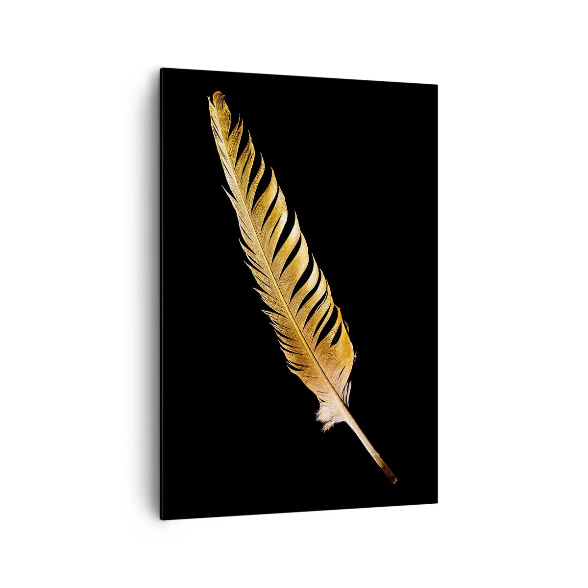 Obraz na plátně - Krásne peříčko… - 70x100 cm