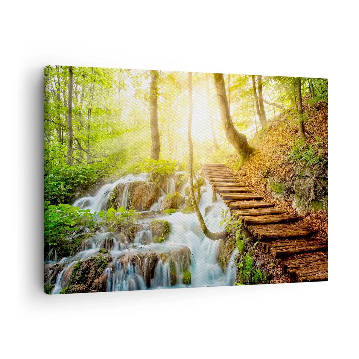 Obraz na plátně - Lesní cesta s dřevěnými schody u vodopádu - 70x50cm - Vytoužený chlad - Moderní nástěnná dekorace do obývacího pokoje a ložnice ARTTOR