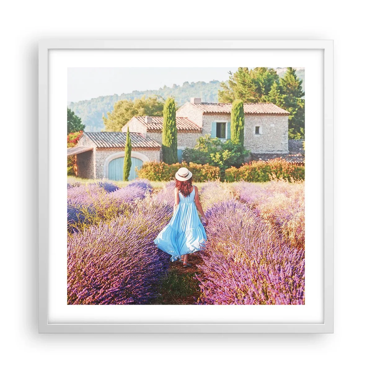 Plakát v bílém rámu - Levandulová dívka - 50x50 cm