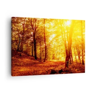 Obraz na plátně - Podzimní mýtina ve zlatavém slunci s lesní cestou - 70x50cm - Ke zlaté mýtině - Moderní nástěnná dekorace do obývacího pokoje a ložnice ARTTOR