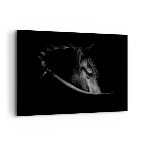Obraz na plátně - Černý kníže - 120x80 cm