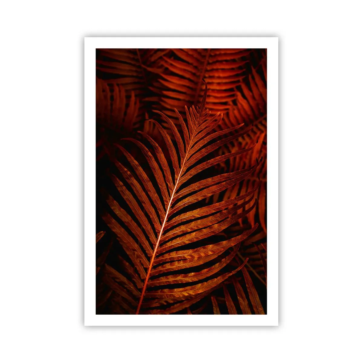 Plakát - Žár života - 61x91 cm