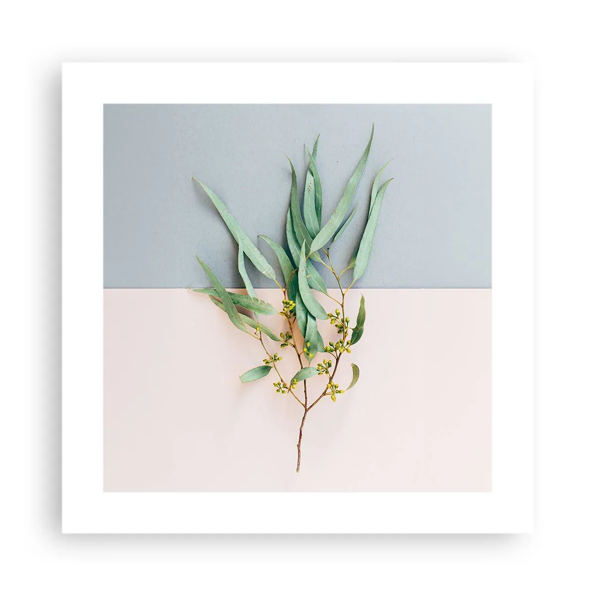 Plakát - Pastelová jemnost - 40x40 cm