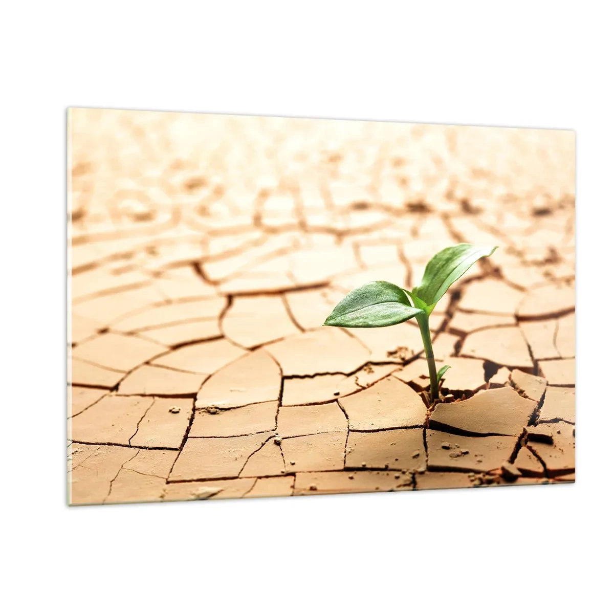 Obraz na skle - Nespoutaná síla života - 120x80 cm