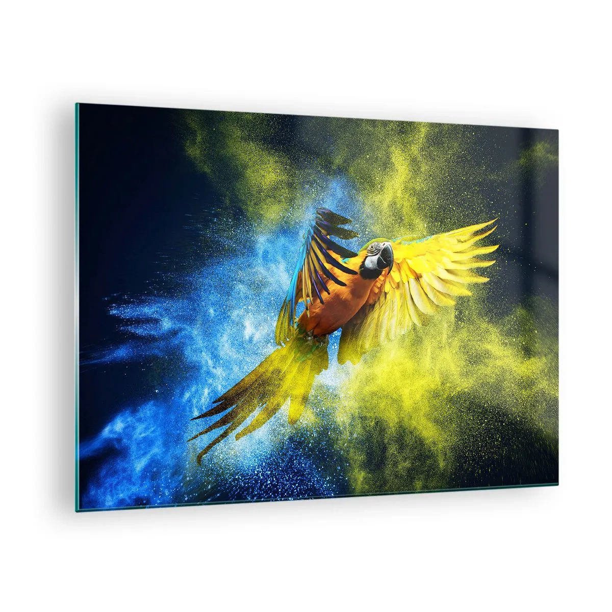 Obraz na skle - Barevný papoušek za letu na žlutém a modrém pozadí - 70x50cm - V modro-zlatém prachu - Moderní nástěnná dekorace do obývacího pokoje a ložnice ARTTOR