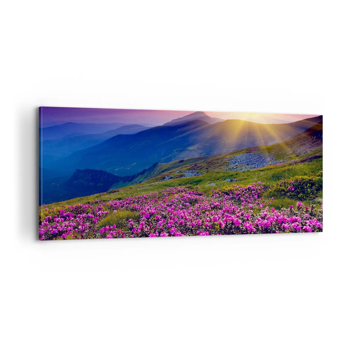 Obraz na plátně - …A kolem voní kosodřevina a voní byliny - 100x40 cm