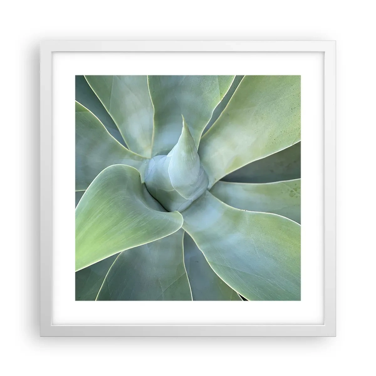 Plakát v bílém rámu - Zrození zeleně - 40x40 cm