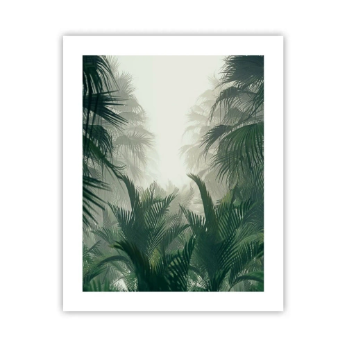 Plakát - Tropická záhada - 40x50 cm