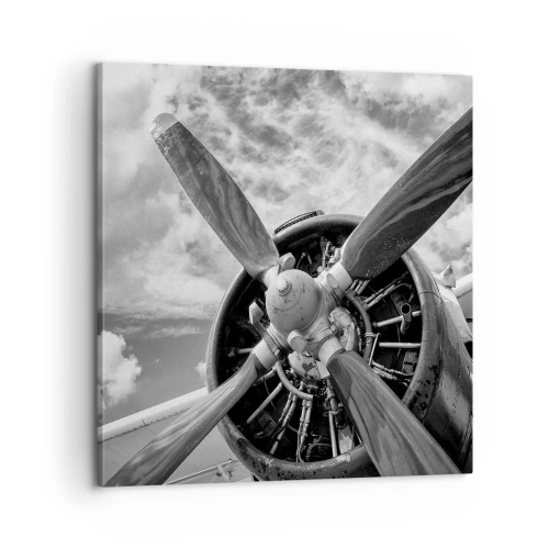 Obraz na plátně - Dobyvatel oblohy - 60x60 cm