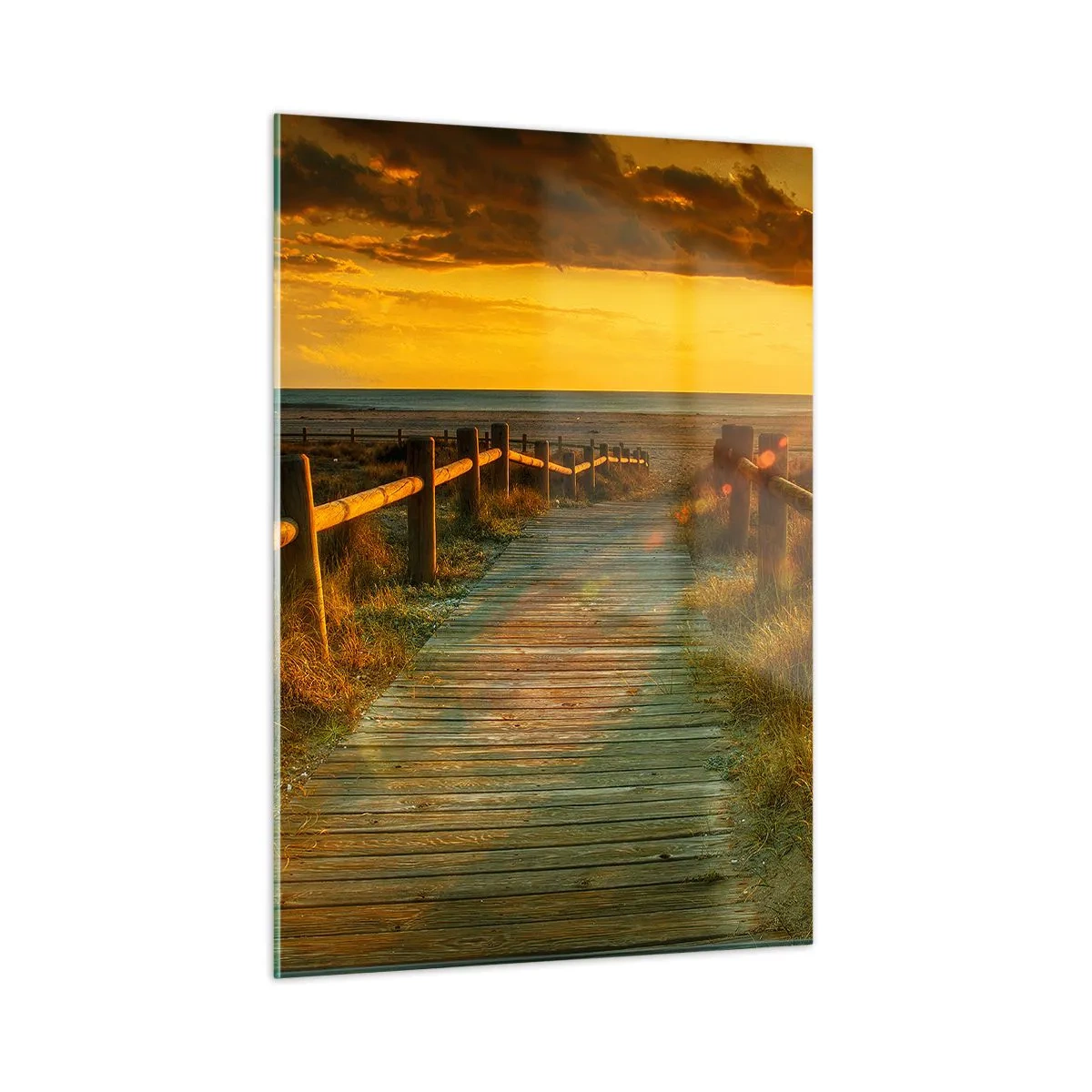Obraz na skle - Vykoupané ve starém zlatě - 50x70 cm