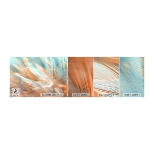 Vzor Fototapety Samolepicí Deluxe Sticker - V krajině něhy - Jemné, Peří, Minimalismus - 100x30 cm