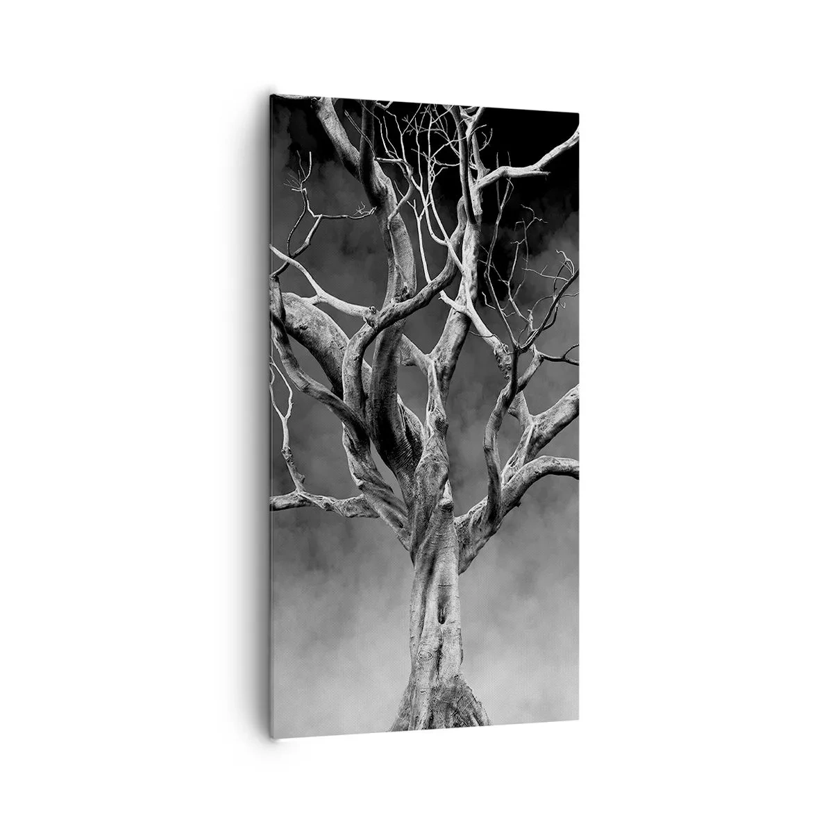 Obraz na plátně - Původní a svaté - 65x120 cm