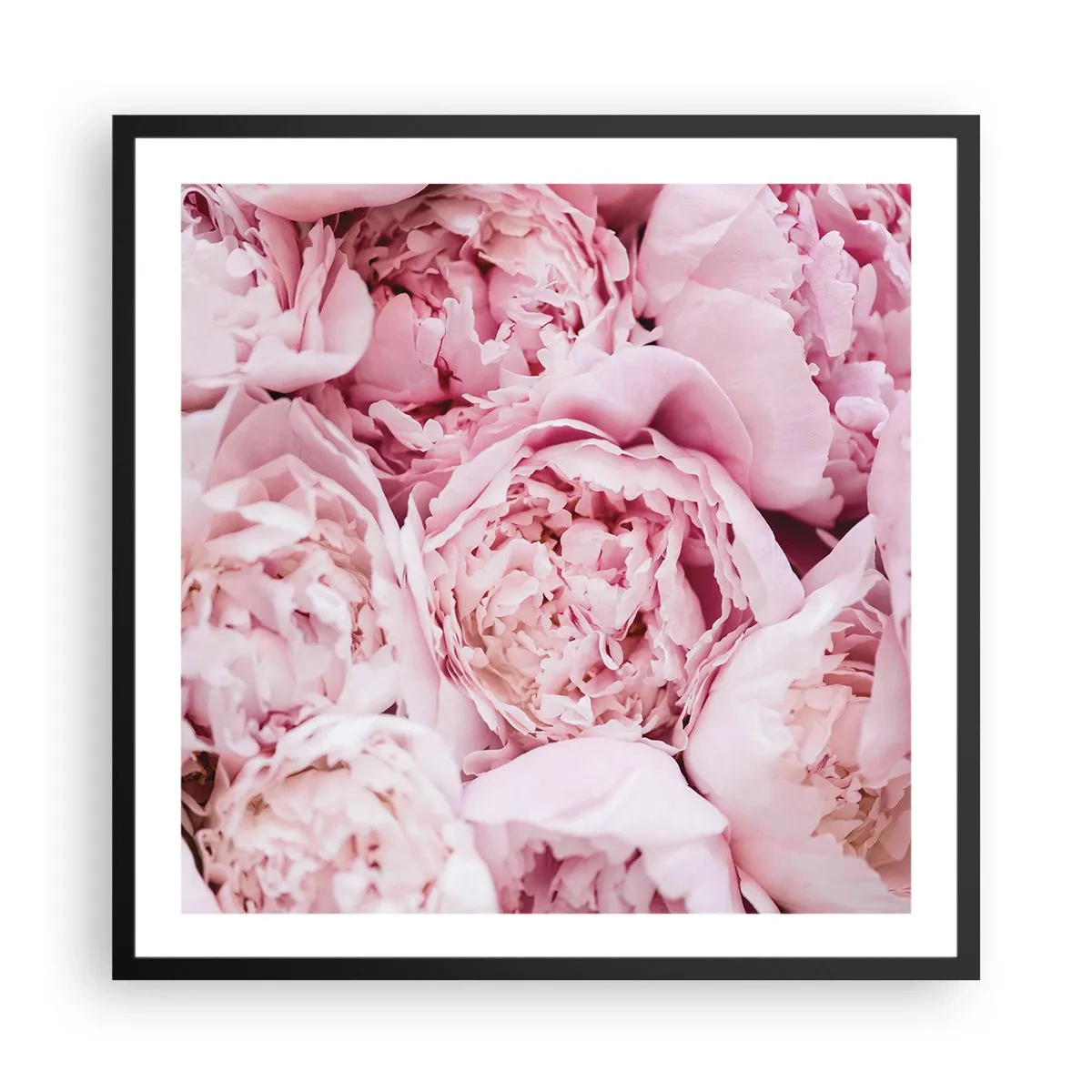 Plakát v černém rámu - Přitulené a voňavé - 60x60 cm