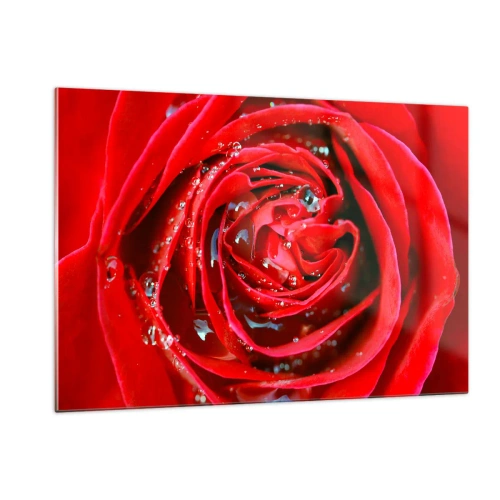 Obraz na skle - V kapkách rosy - 120x80 cm