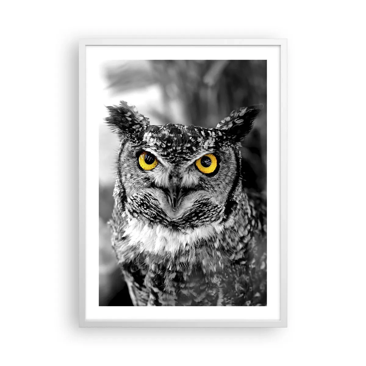 Plakát v bílém rámu - Nic se neschová - 50x70 cm