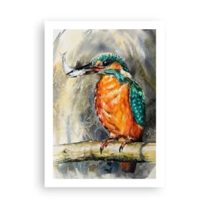 Plakát - Přírodní zákon - 50x70 cm