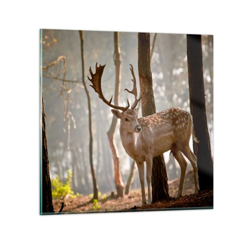 Obraz na skle - Světlo mládí - 70x70 cm