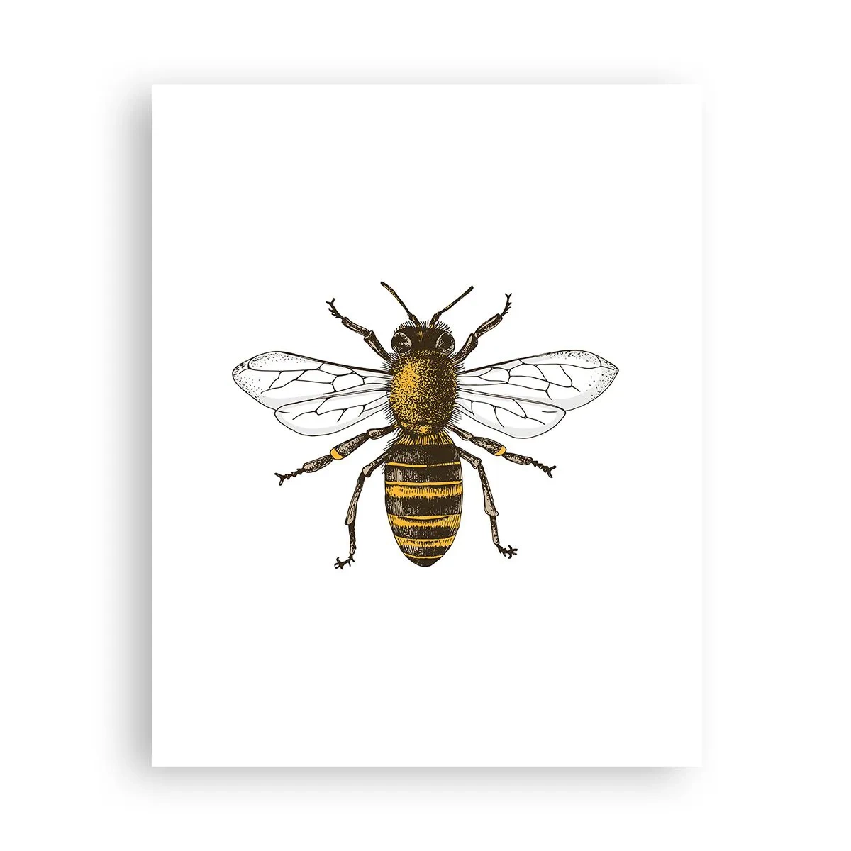 Plakát - Krásná a dobrá - 40x50 cm