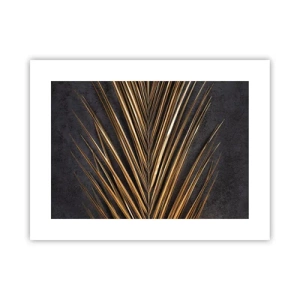 Plakát - Zlato tropů - 40x30 cm