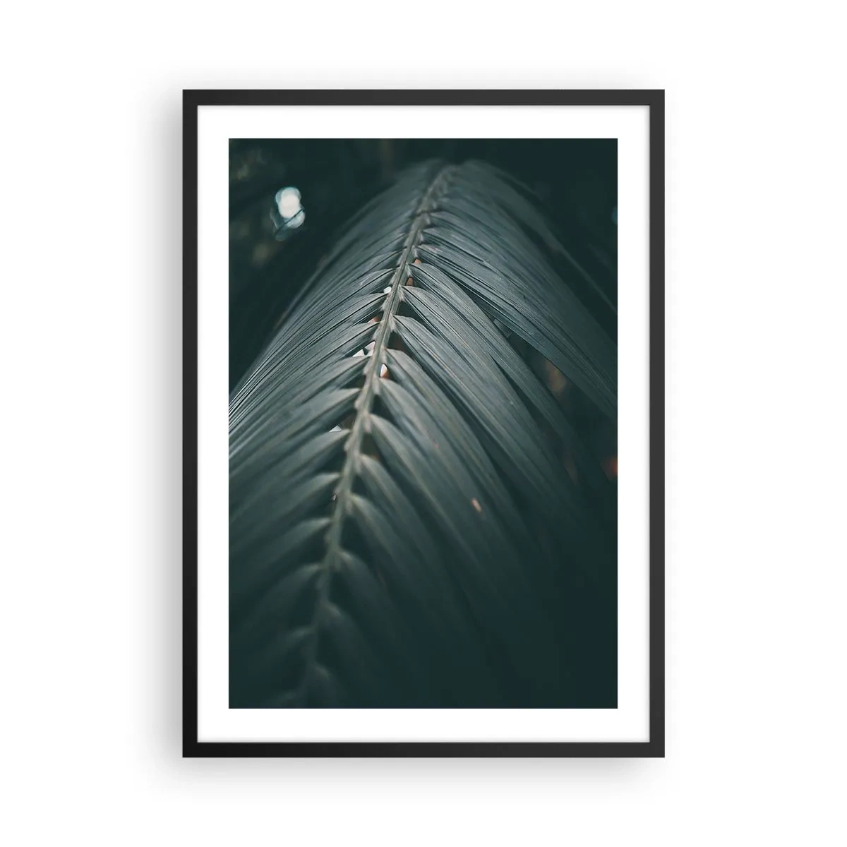 Plakát v černém rámu - Palmový list v tmavém tónu s měkkým osvětlením - 50x70cm - Přesnost přírody - Moderní nástěnná dekorace do obývacího pokoje a ložnice ARTTOR