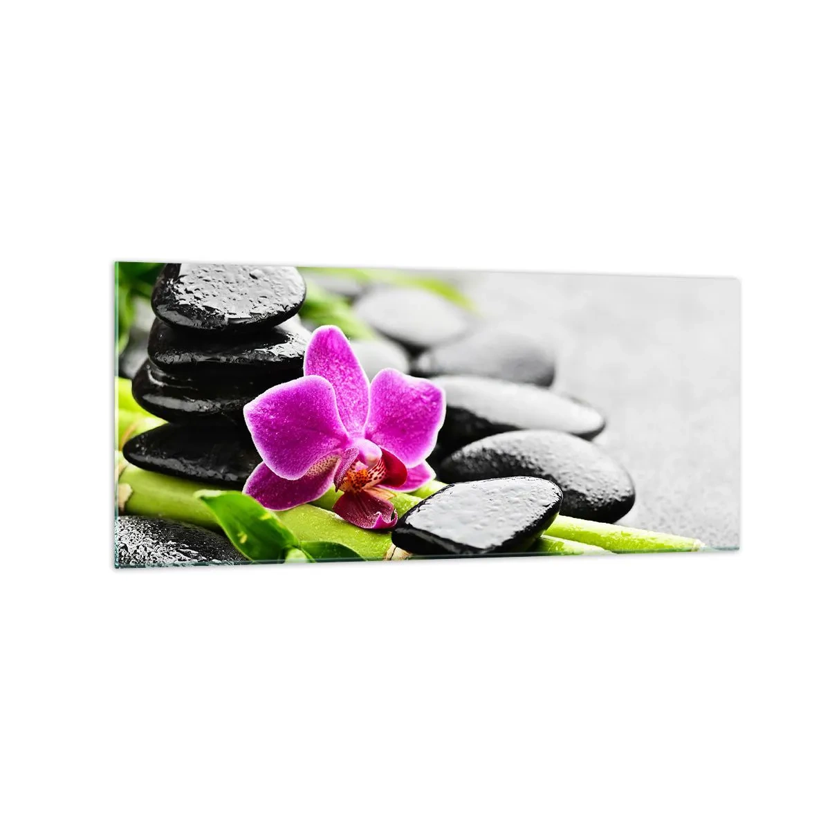 Obraz na skle - V klidné rovnováze - 120x50 cm