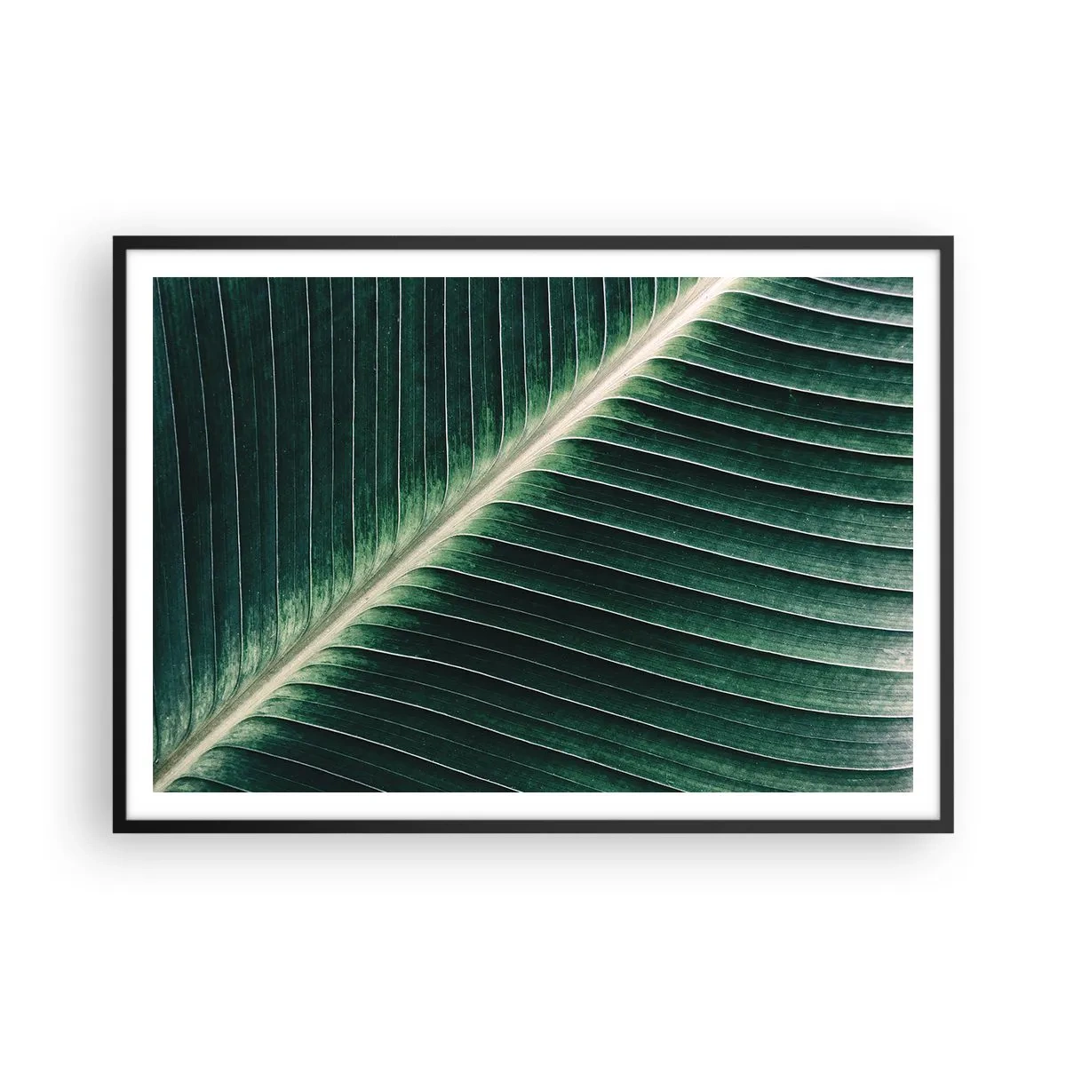 Plakát v černém rámu - Rytmus přírody - 100x70 cm