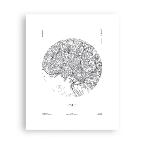 Plakát - Anatomie Osla - 40x50 cm