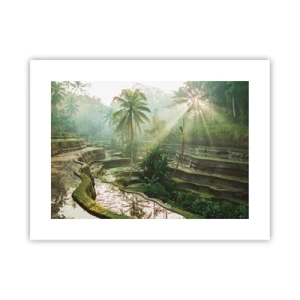 Plakát - Vyrůstát na slunci - 40x30 cm