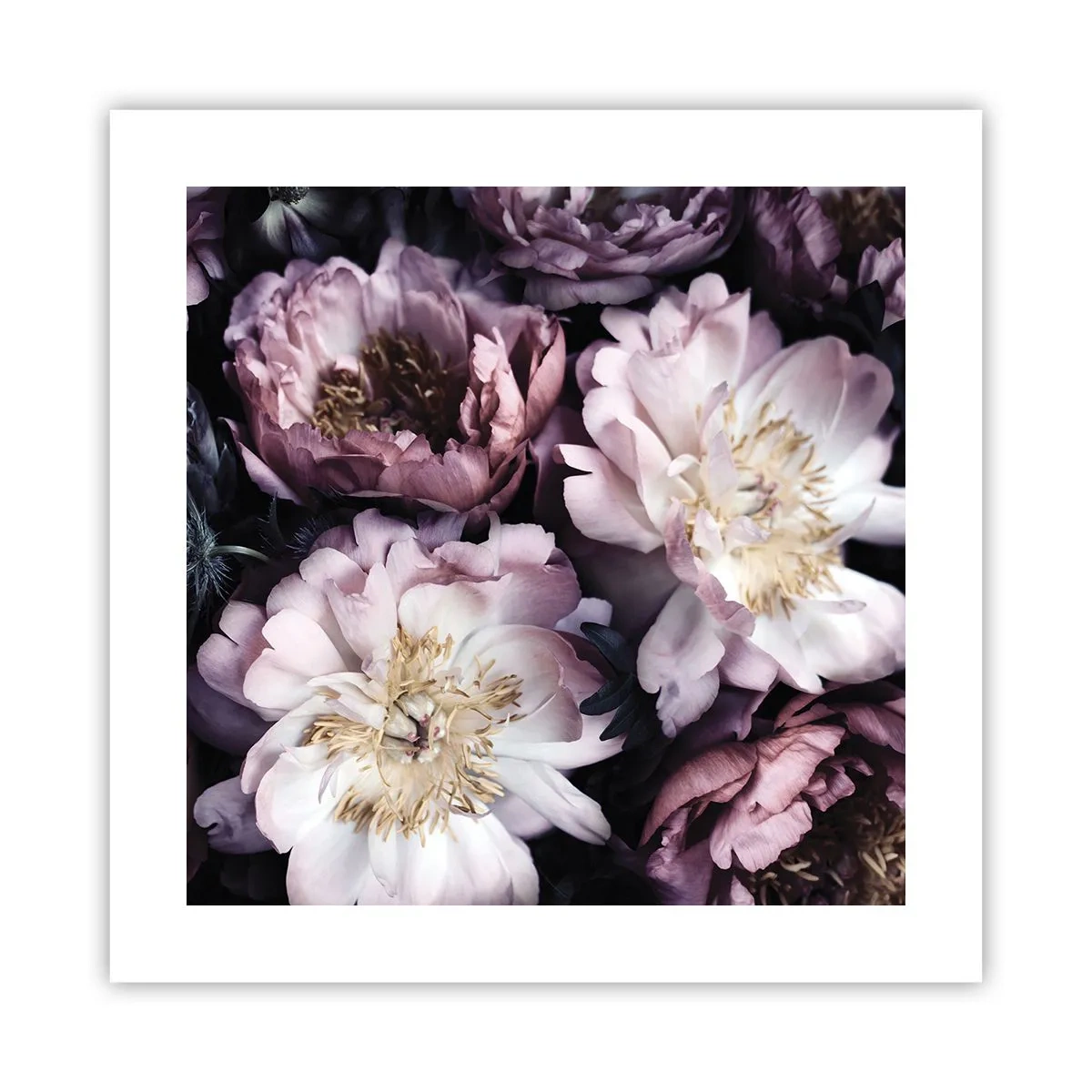 Plakát - Kytice ve starém stylu - 40x40 cm