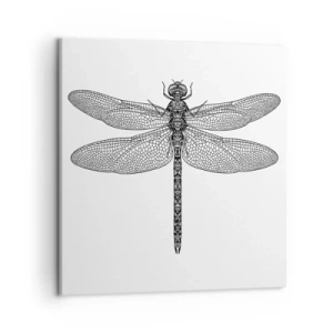 Obraz na plátně - Přesnost přírody - 50x50 cm