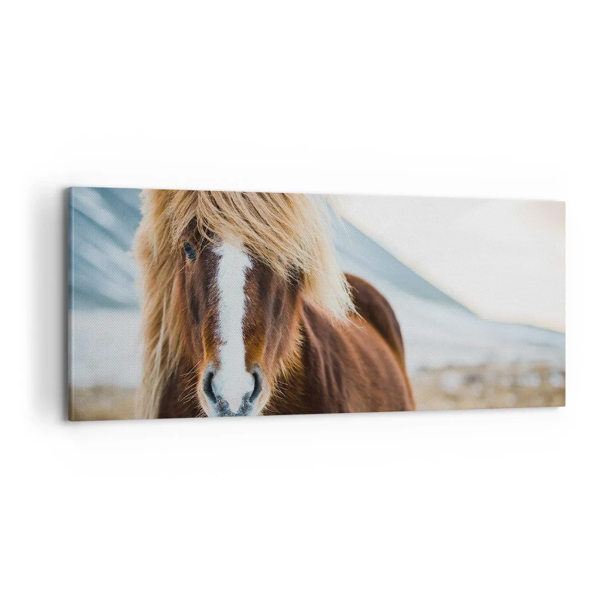 Obraz na plátně - Cítíš svobodu? - 100x40 cm