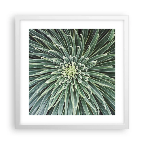 Plakát v bílém rámu - Zrození hvězdy - 40x40 cm