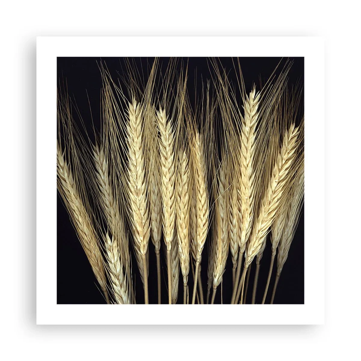 Plakát - Rustikální magie - 50x50 cm