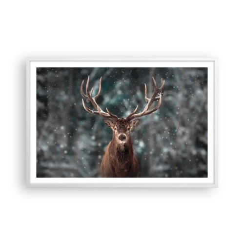 Plakát v bílém rámu - Skutečný král lesa - 91x61 cm