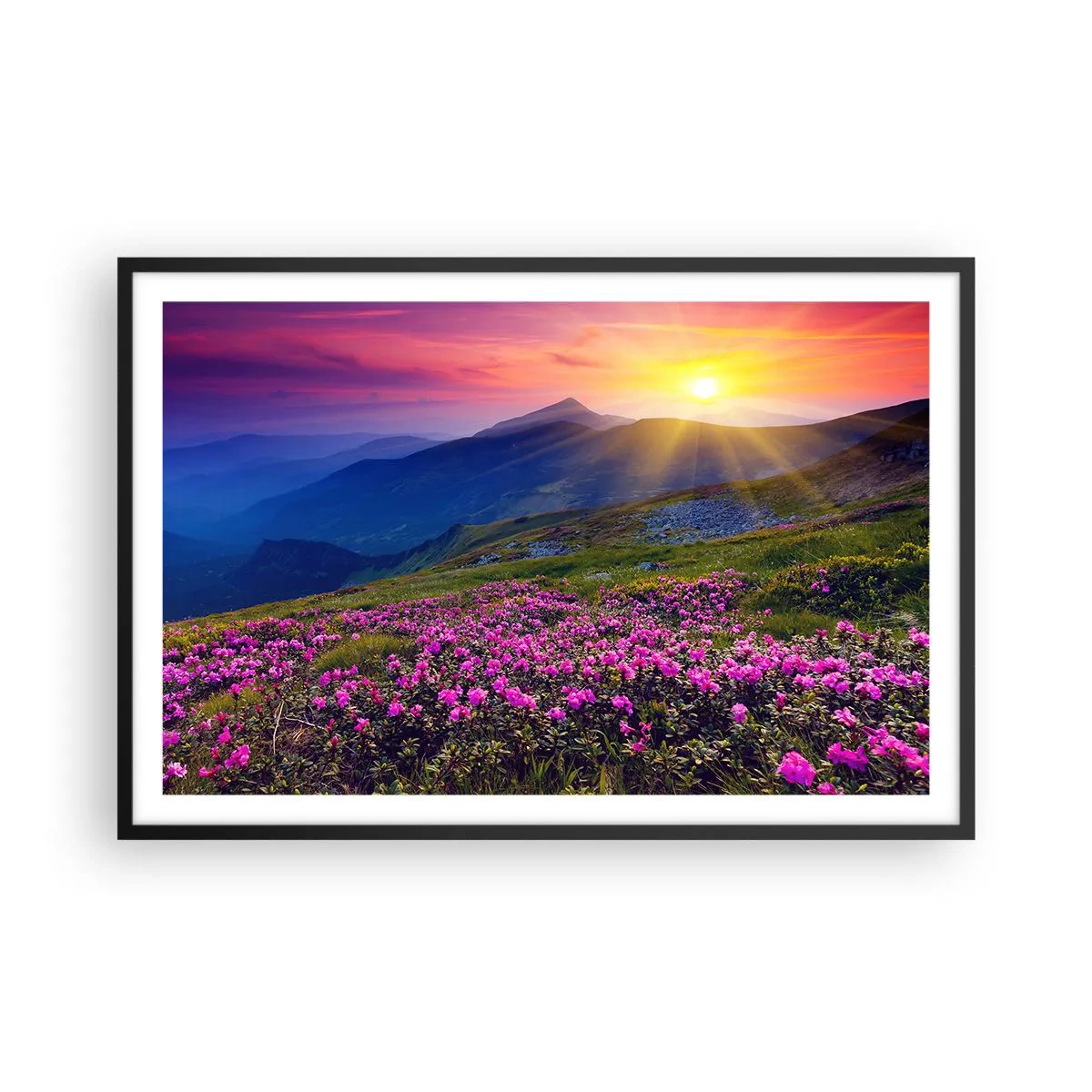 Plakát v černém rámu - …A kolem voní kosodřevina a voní byliny - 91x61 cm