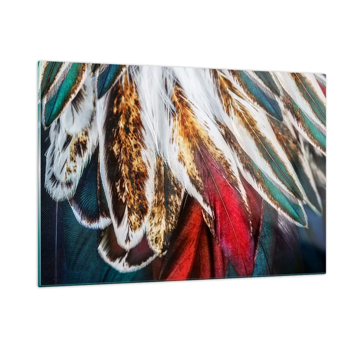 Obraz na skle - Tajemství letu - 120x80 cm