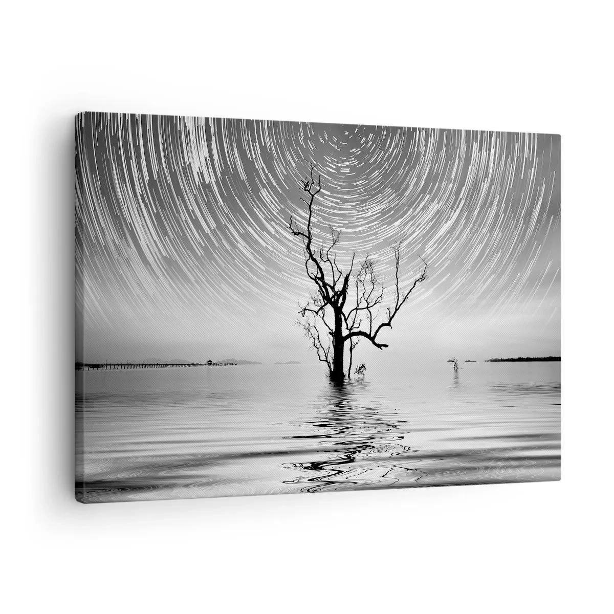 Obraz na plátně - Strom ve vodě pod noční oblohou s pohybujícími se hvězdami - 70x50cm - Symfonie přírody - Moderní nástěnná dekorace do obývacího pokoje a ložnice ARTTOR