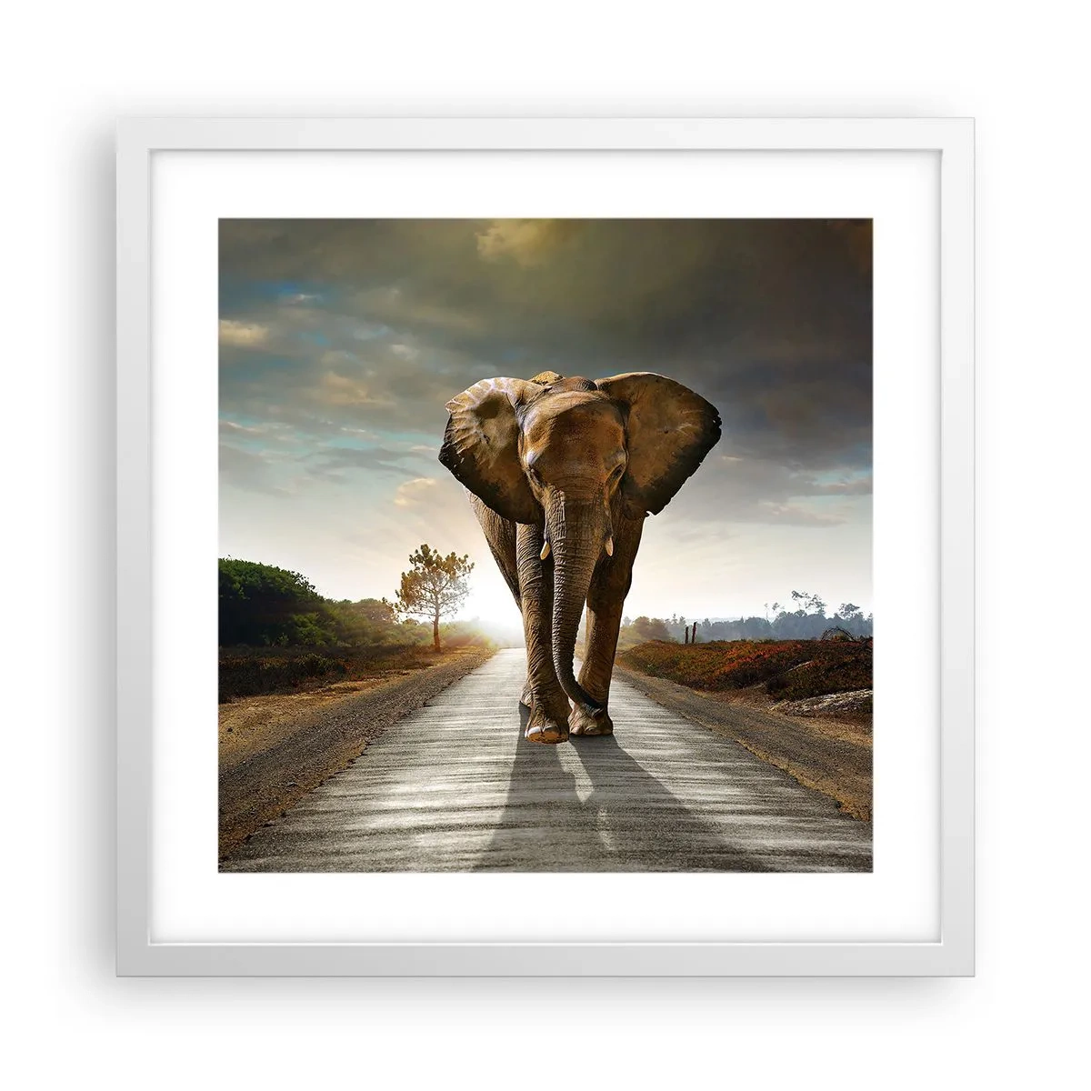 Plakát v bílém rámu - A vůbec ne ve skladu porcelánu - 40x40 cm