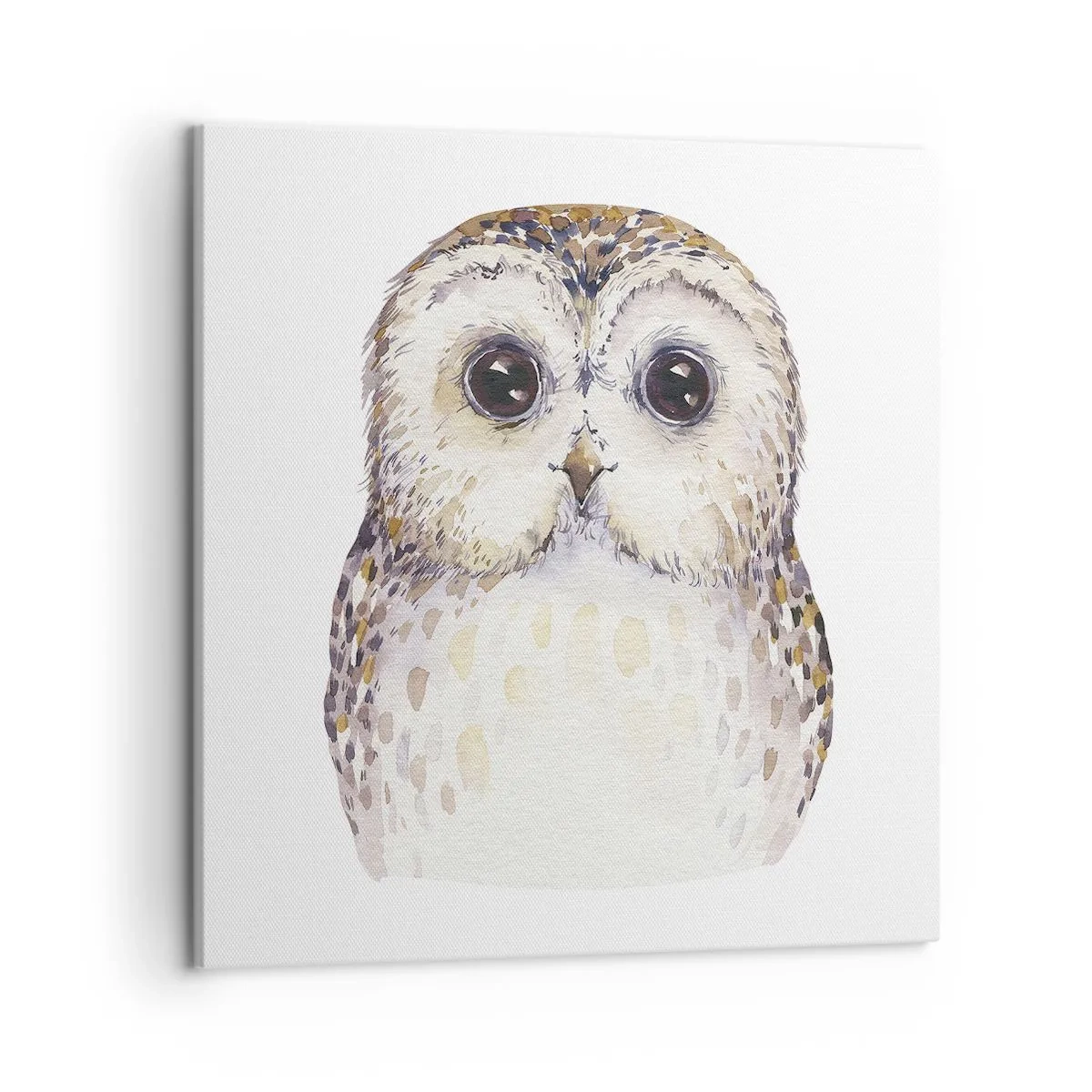 Obraz na plátně - Podívej se mi do očí - 50x50 cm