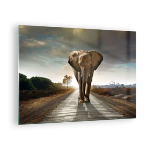 Obraz na skle - Slon kráčící po silnici při západu slunce - 70x50cm - A vůbec ne ve skladu porcelánu - Moderní nástěnná dekorace do obývacího pokoje a ložnice ARTTOR